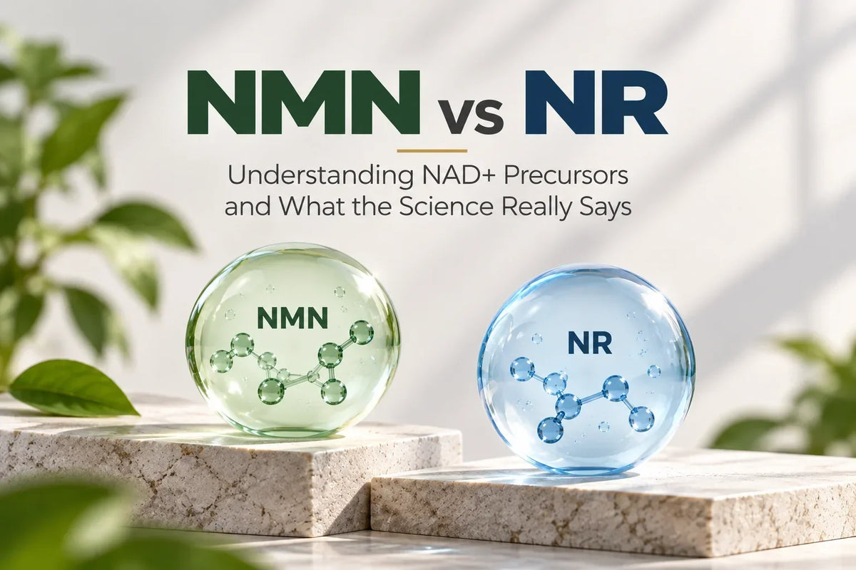 NMN vs NR comparison showing two NAD+ precursors and their relationship to NAD+